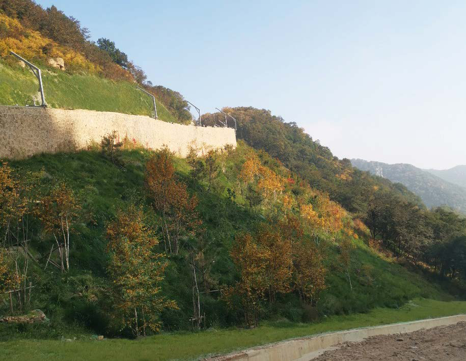 北京2022年冬奧會國家高山滑雪中心山體生態(tài)修復(fù)